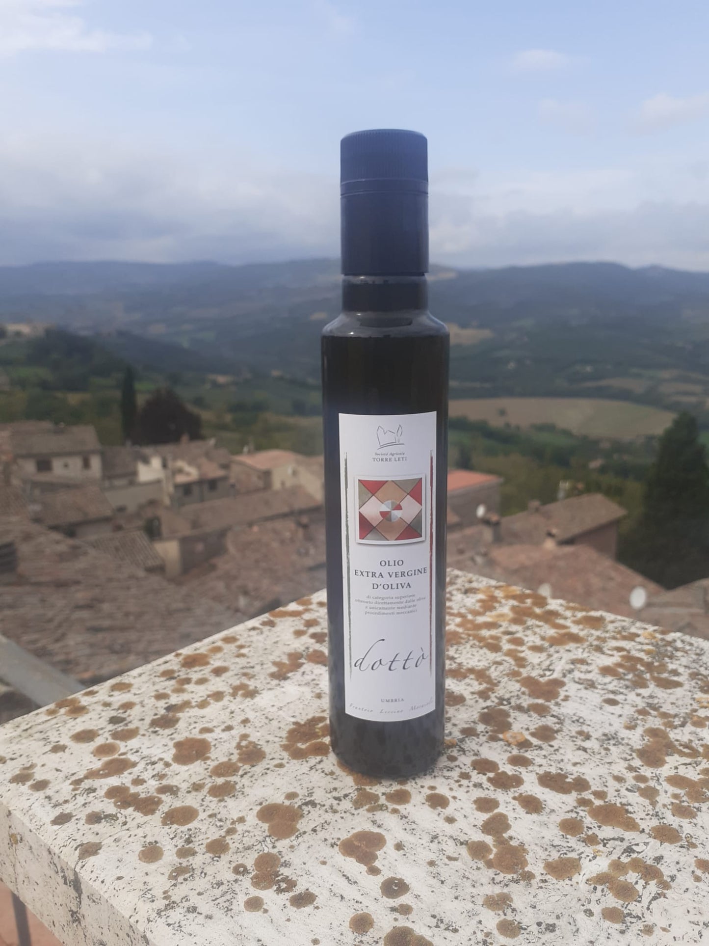 Extra Virgin Olive Oil 500 ml Tin (2022 Harvest)