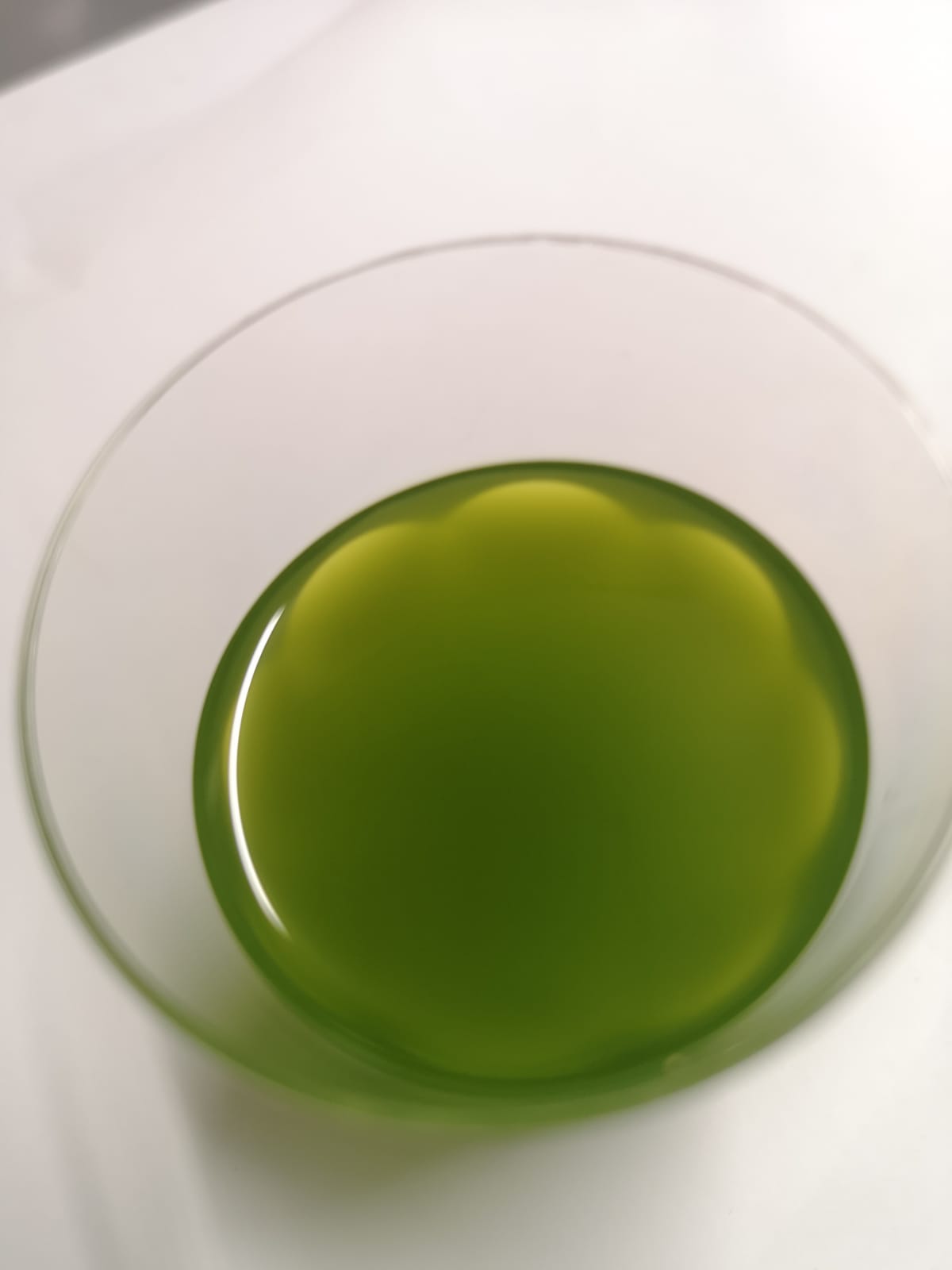 Extra Virgin Olive Oil 500 ml Bottle (2022 Harvest)