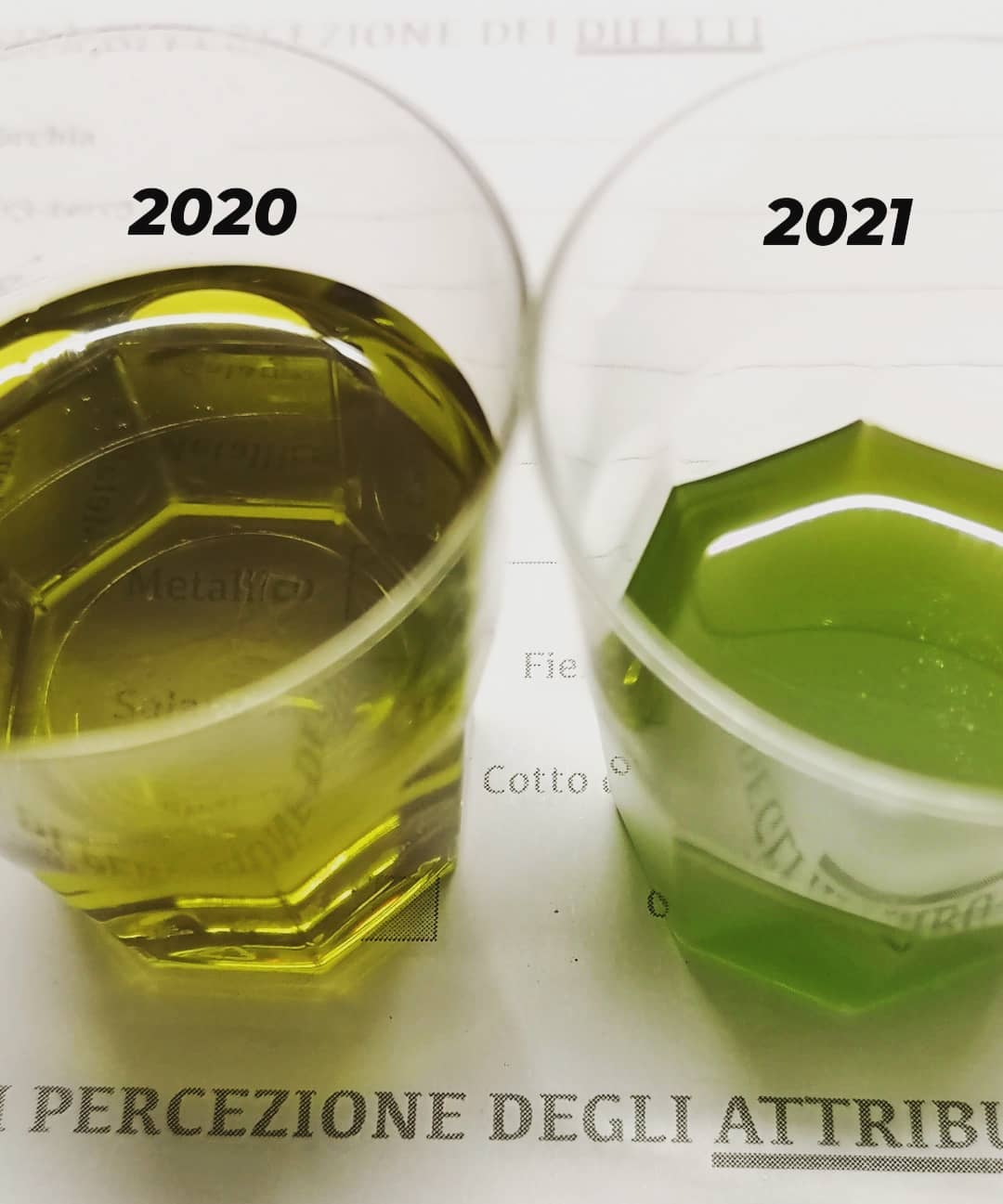 Extra Virgin Olive Oil 750 ml Bottle (2021 Harvest)